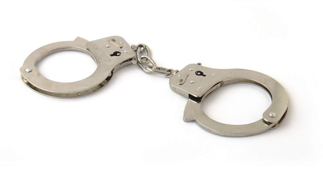 Arestate pentru ca au retrocedat ilegal 176 de hectare de padure