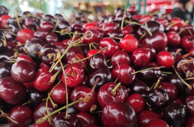 Cireșe scumpe și în acest an. Un kilogram costă cât 10 de carne 