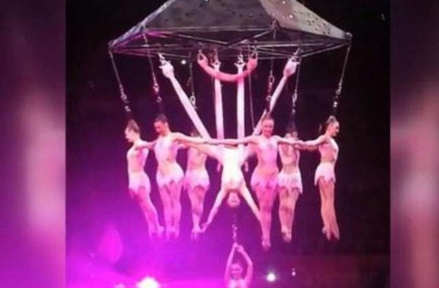 [VIDEO] Accident la un spectacol de circ din Statele Unite