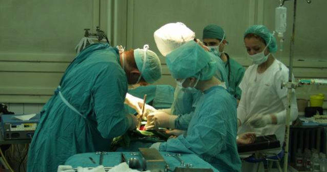 Sinescu: Numar record de transplanturi renale cu donator in moarte cerebrala in 2013