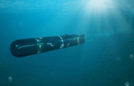 MApN vrea sa cumpere 18 torpile usoare antisubmarin