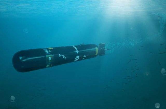 MApN vrea sa cumpere 18 torpile usoare antisubmarin pentru 16,5 mil. euro