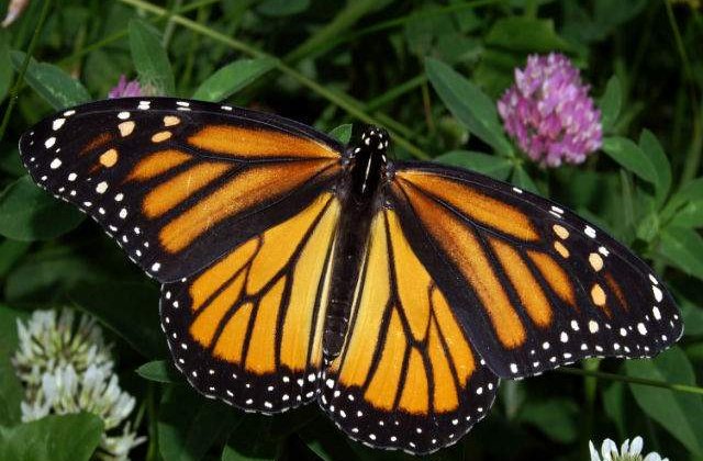 Top 10 mistere care uimesc oamenii de stiinta