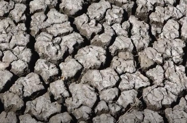 Secetă pedologică de la moderată la extremă în mai multe regiuni agricole din țară 