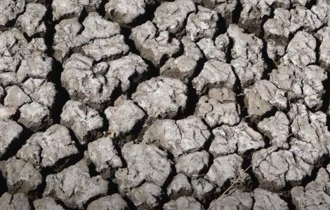 Secetă pedologică de la moderată la extremă în mai multe regiuni agricole din țară