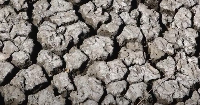 Secetă pedologică în mai multe regiuni agricole din țară