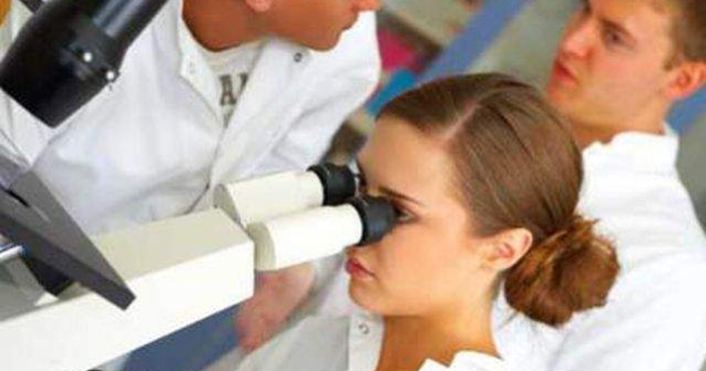 Un tip de plastic care "se vindecă" singur, inspirat de capilarel