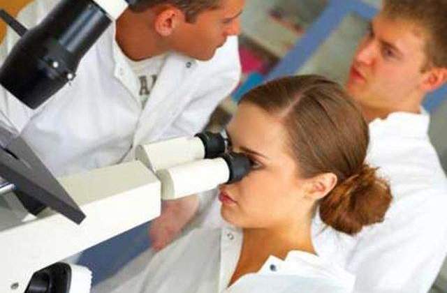 Un tip de plastic care "se vindecă" singur, inspirat de capilarele sangvine