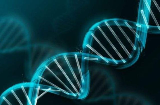 Organism viu semi-sintetic din lume, creat de cercetatorii americani