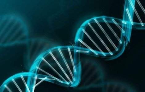 Organism viu semi-sintetic din lume, creat de cercetatorii americani