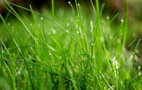  Top  Meteo: Starea vremii in urmatoarele doua saptamani