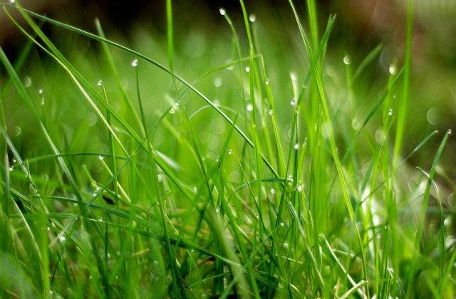 Meteo: Starea vremii in urmatoarele doua saptamani