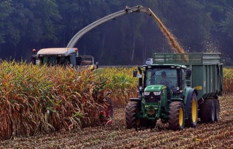 4 lucruri pe care sa le faci pentru a crește productivitatea agricolă