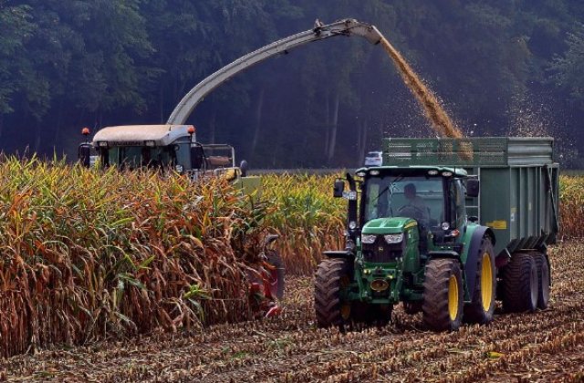 4 lucruri pe care sa le faci pentru a crește productivitatea agricolă