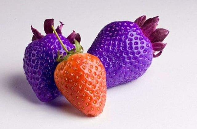 Irinel Popescu, despre organismele modificate genetic: Nu exista pericol real pentru consumul uman