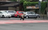 Breakdance pe zebră, noua metodă de cerșit. Un român, un italian și un spaniol au fost amendați 