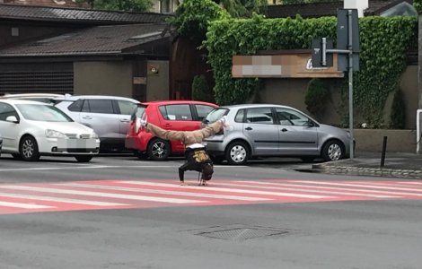 Breakdance pe zebră, noua metodă de cerșit la Brașov