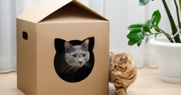 Dă viață obiectelor vechi: 4 idei de upcycling din care să te inspiri