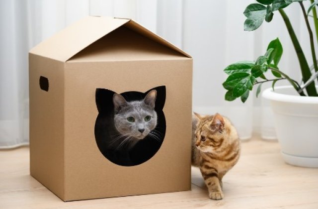 4 idei de upcycling din care să te inspiri pentru a da o nouă viață obiectelor vechi