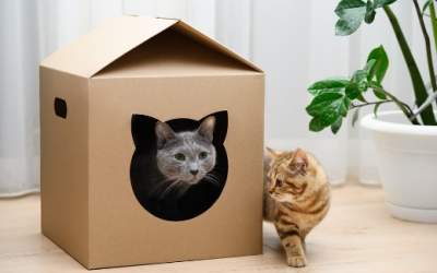 4 idei de upcycling din care...