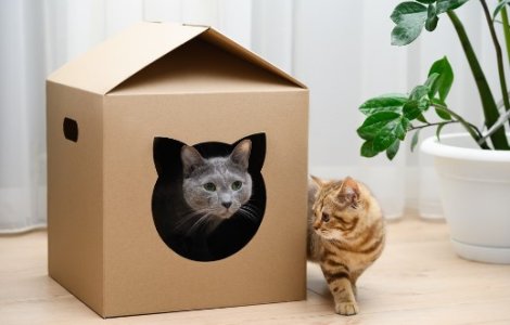 4 idei de upcycling din care să te inspiri pentru a da o nouă viață obiectelor vechi