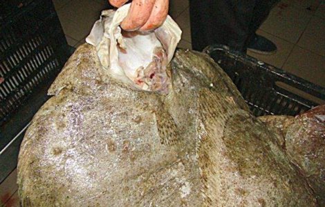 Politistii de frontiera au capturat aproape trei tone de calcan