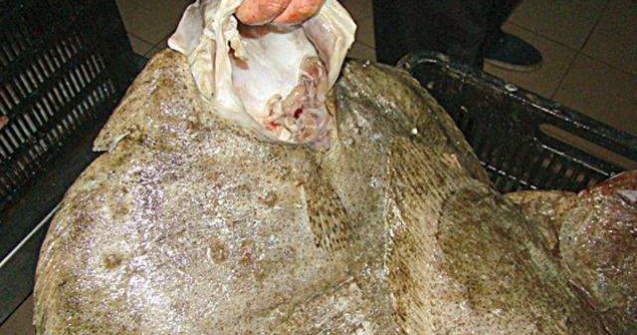 Politistii de frontiera au capturat aproape trei tone de calcan fara documente