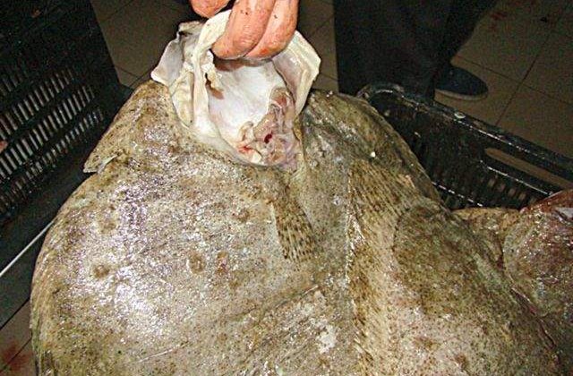 Politistii de frontiera au capturat aproape trei tone de calcan fara documente