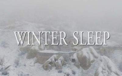 &quot;Winter Sleep&quot;, de Nuri Bilge...