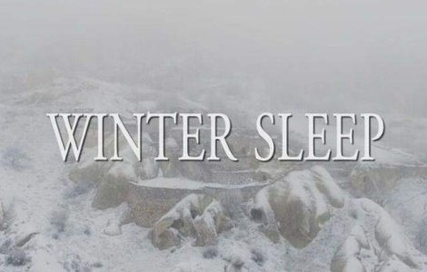 "Winter Sleep", de Nuri Bilge Ceylan, a castigat trofeul Palme d`Or