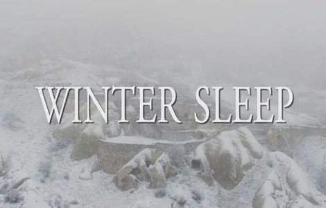 "Winter Sleep", de Nuri Bilge Ceylan, a castigat trofeul Palme d`Or