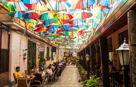 Bilanț Covid-19 România: 271 de cazuri noi în ultimele 24 de ore