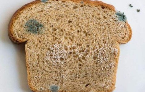 Gandaci si alimente expirate gasite in bucataria unui hotel de lux din Brasov