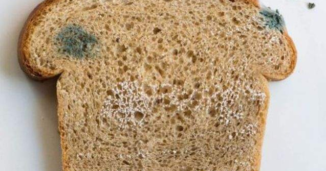 Gandaci si alimente expirate gasite in bucataria unui hotel de lux din Brasov