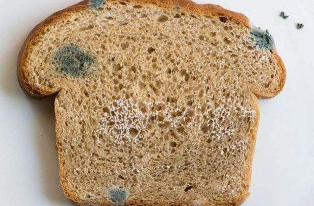 Gandaci si alimente expirate gasite in bucataria unui hotel de lux din Brasov