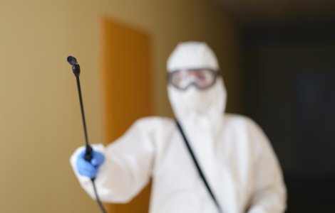 Tratamente pentru combaterea şobolanilor, ţânţarilor şi căpuşelor în București