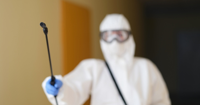 Tratamente pentru combaterea şobolanilor, ţânţarilor şi căpuşelor în București