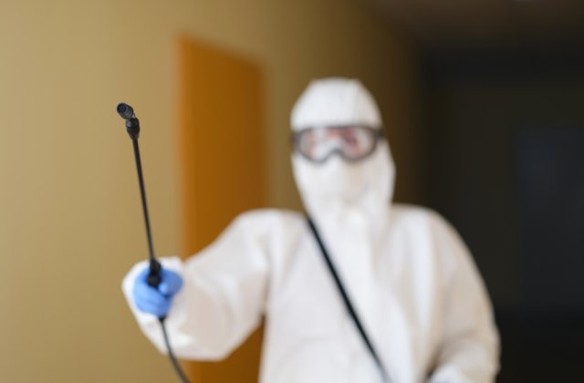 Primăria Capitalei aplică tratamente de deratizare a şobolanilor, ţ&acirc;nţarilor şi căpuşelor