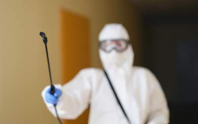 Primăria Capitalei aplică...