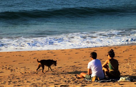 Prognoza meteo ANM pentru joi, 16 iunie