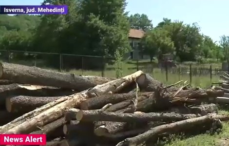 Camion cu lemne pentru școală, descărcat la pensiunea directorului