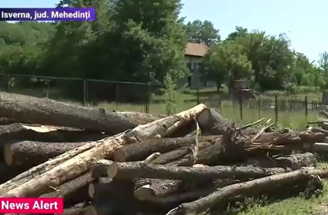 Camion cu lemne pentru școală, descărcat la pensiunea directorului. Ce explicație le-a dat bărbatul polițiștilor