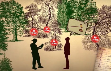 România ar putea ajunge mai aproape de independență energetică