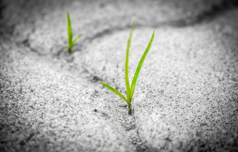 20 de citate motivaționale