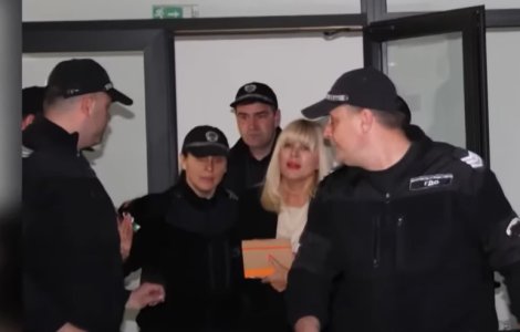 Elena Udrea, mesaj din închisoare