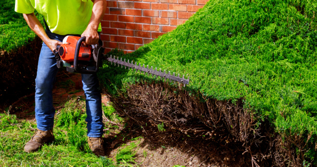 Un bărbat care a vrut să se angajeze şofer la stat, revoltat de fișa postului