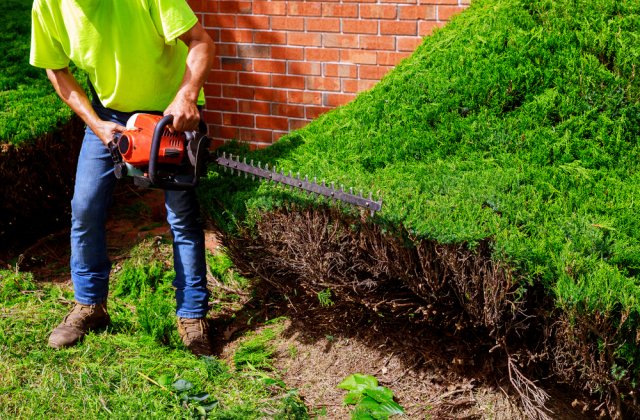 Un bărbat care a vrut să se angajeze şofer la o instituţie de stat, revoltat de cerințele din fișa postului. &bdquo;Au pretenţia să hămălesc şi să fac grădinărit&ldquo;