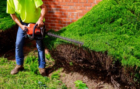 Un bărbat care a vrut să se angajeze şofer la o instituţie de stat, revoltat de cerințele din fișa postului. „Au pretenţia să hămălesc şi să fac grădinărit“