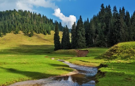 Prognoza meteo pentru marți, 21 iunie. ANM: Încă o zi călduroasă