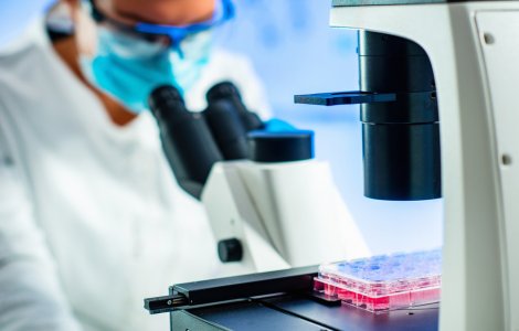 Bolile care se pot trata cu celule stem